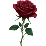 Dark red rose sticker
