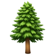 Pine sticker