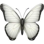 White butterfly  sticker