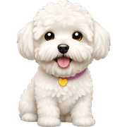 Maltipoo sticker