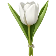 white tulip bouquet  sticker