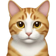 Cat sticker