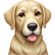 Labradoedel met krullen sticker