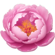 Pink peonies  sticker