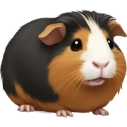 Guinea pig sticker