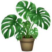 Monstera plant sticker
