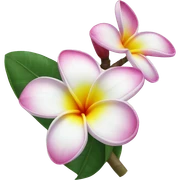 Frangipani sticker