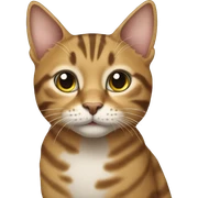 Tabby cat sticker