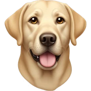 Labrador sticker