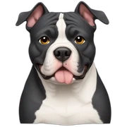 american bully sticker