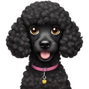 black poodle sticker