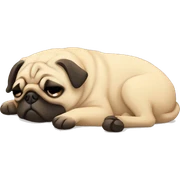 Pug sleeping  sticker