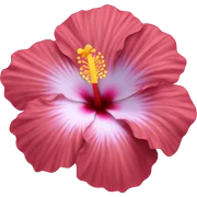 hibiscus flower  sticker