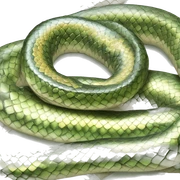 shiny snake sticker