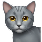 gray cat sticker