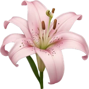 light pink lilium sticker