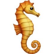 Sea horse  sticker
