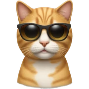Cat with sunglasses sticker