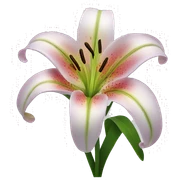 Lily flower sticker