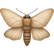 moth sticker