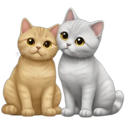 golden british shorthair, a young girl, and silver golden british shorthair kissing sticker