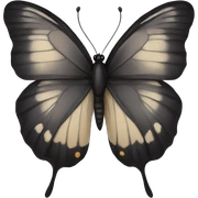 black butterfly sticker