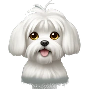 Maltese  sticker