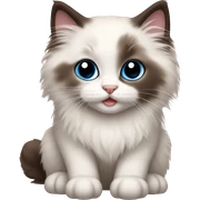 ragdoll kitten sticker