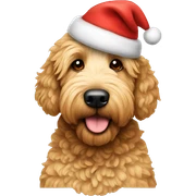 golden doodle wearing a christmas hat sticker