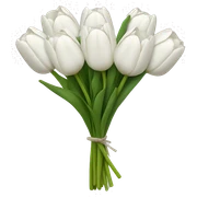 white tulip bouquet  sticker