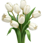 white tulip bouquet  sticker