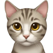 Domestic short hair cat sticker