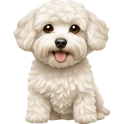 Maltipoo sticker