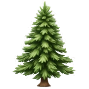 Realistic isolated off white fir christmas tree   sticker