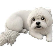 focused dog in nature sticker