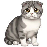 Scottish fold sticker