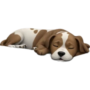 sleeping dog on grey background sticker