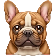 Brown French bulldog  sticker