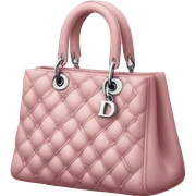 dior handbag sticker