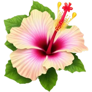 hibiscus flower sticker
