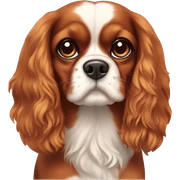 cavalier king charles sticker