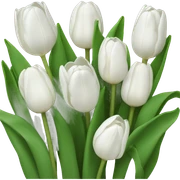 White tulips sticker