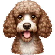brown poodle sticker