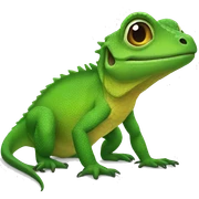 lizard sticker