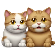 two cats ate too much sticker