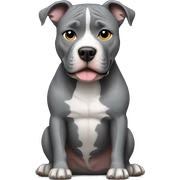 Gray Pitbull sitting sticker