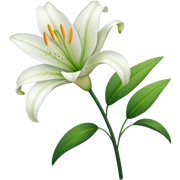 White lily sticker