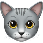grey cat sticker
