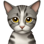 Кот  sticker