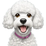 White poodle sticker